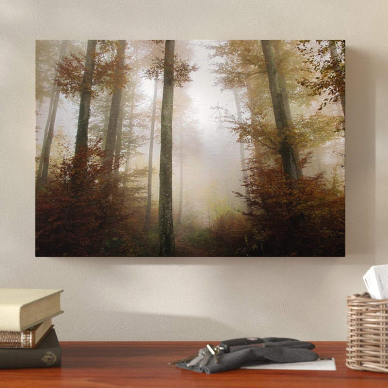 Landscape Sunlight Forest Wood Photographic - Wrapped Canvas, 70cm H x 100cm W