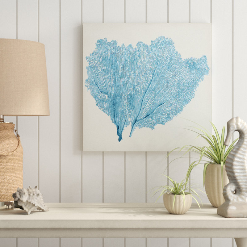 Sea Fan IV by Vision Studio - Wrapped Canvas Painting, 76cm H x 76cm W