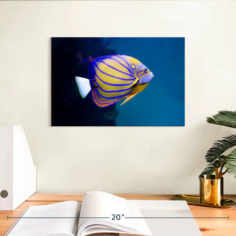 Poisson-ange coloré Brampt, H 8 po x l 12 po