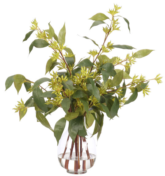 Eucalyptus, Green Glass Vase, 30wx25dx28h
