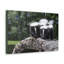 No Frame Print on Canvas-1043562373
