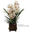 Tige d'orchidée Cymbidium-1348859171
