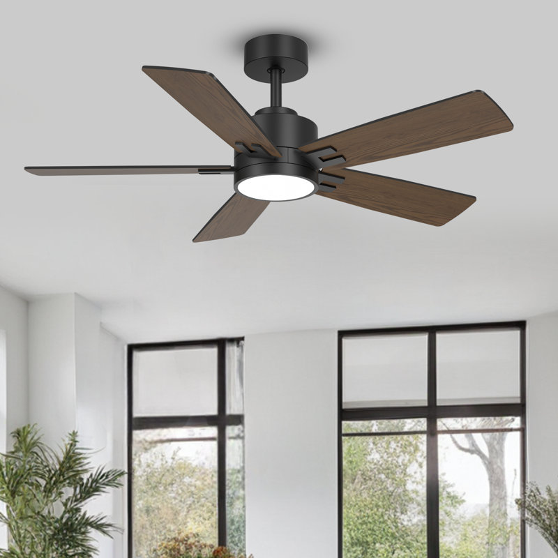 Ventilateur de plafond intelligent à 5 pales avec lumière à intensité variable, moteur à courant continu et pales à double finition