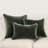 Goodall Velvet Pillow Cover & Insert-103639429-103639454