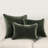 Goodall Velvet Pillow Cover & Insert-103639454-103639429
