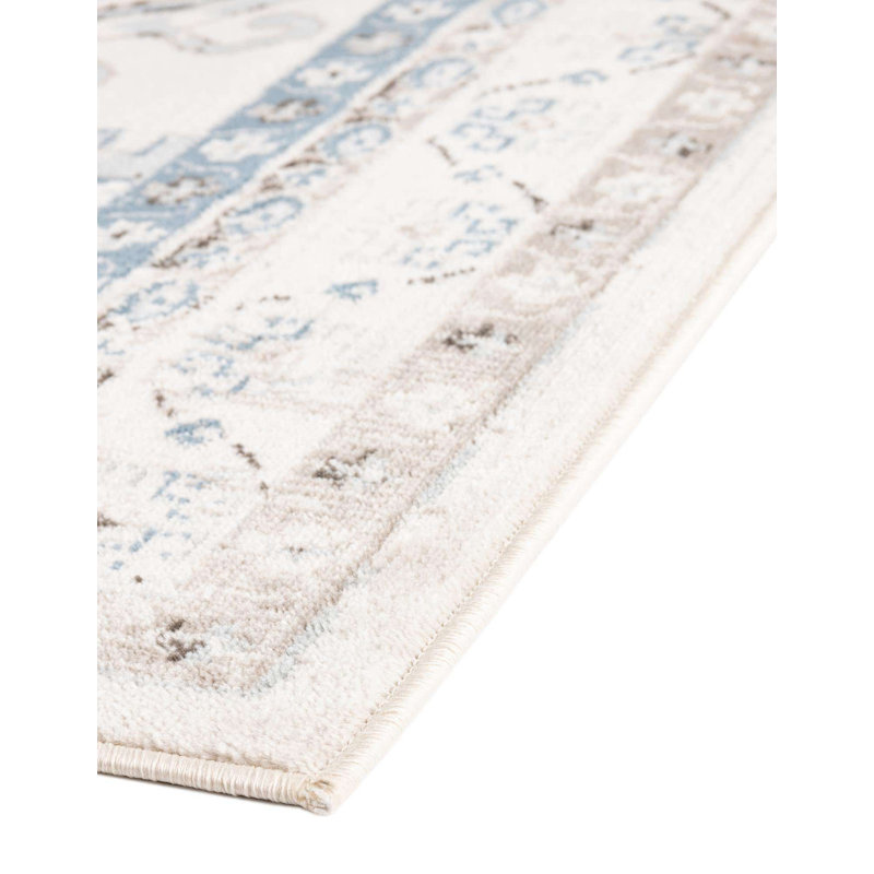 Charlotte Oriental Indoor Rug, Runner 2' x 10'