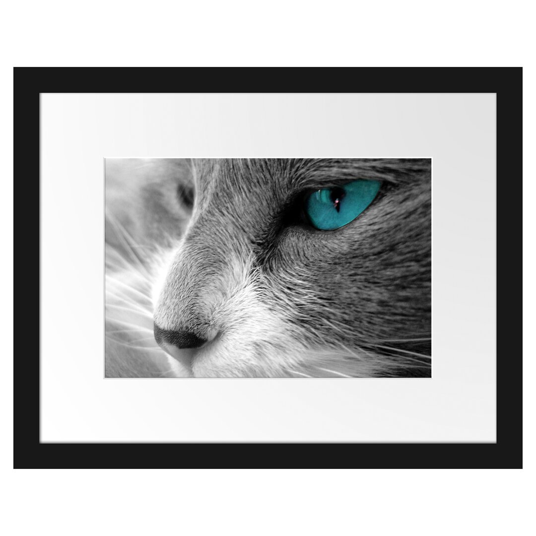 Gerahmtes Poster Katze mit Augen