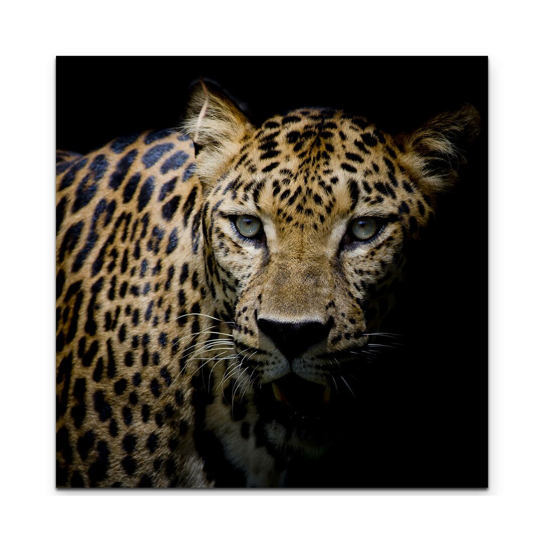 Leinwandbild Portrait Leopard