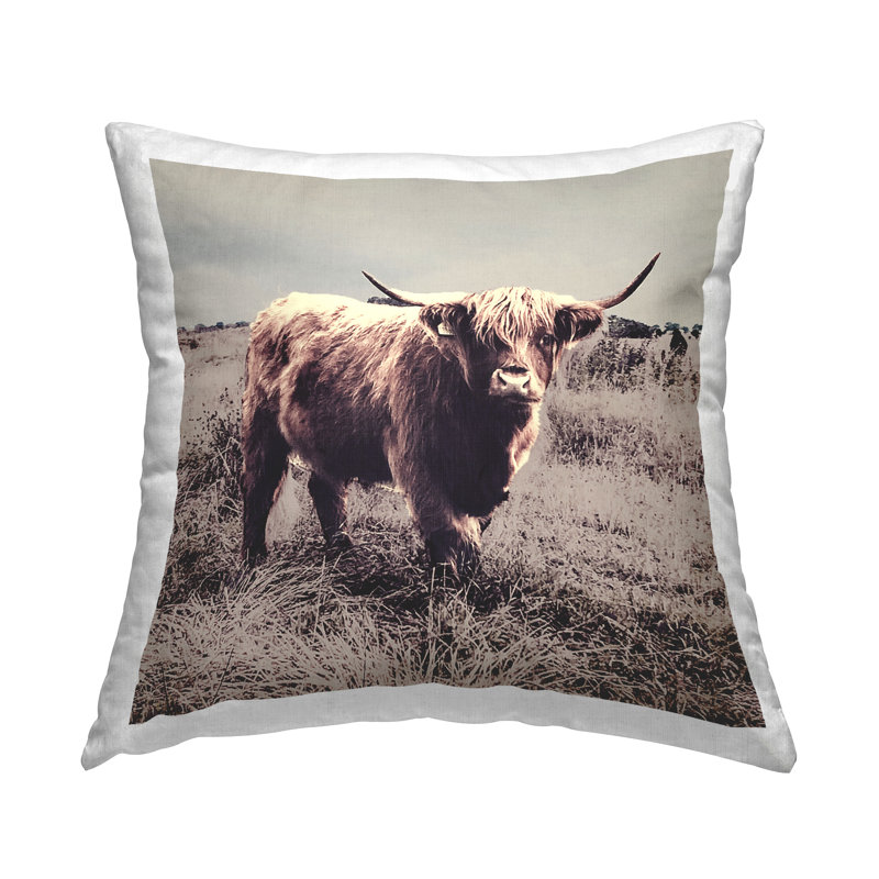 Coussin Farm Farm