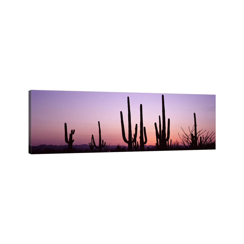 Silhouette Of Saguaro Cacti (Carnegiea Gigantea) On A Landscape, Saguaro National Park, Tucson, Pima County, Arizona, USA - Wrapped Canvas Panoramic Print