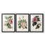 Mélange de fleurs roses I - impression encadrée sur mesure de qualité supérieure mate - 3 pièces-44061782-44061800