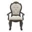 Chaise avec accoudoirs rembourrés touffeté à l’expresso Nueva