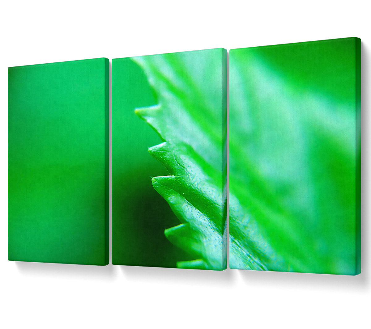 Ebern Designs Jagged Green Leaves - 3 Piece Wrapped Canvas Graphic Art ...