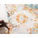 Walmoor Oriental Indoor Rug