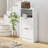 Modern Shoe Storage Cabinet