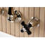 Robinet de salle de bain avec drain Duchess-99126450