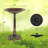 Armance Resin Single Tier Birdbath-81233943