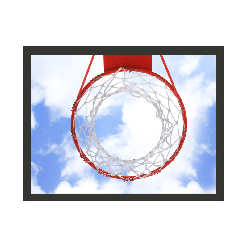 Basketball 3.09m x 400cm Wallpaper, 250 cm x 193 cm
