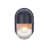 Rochel Steel Flush Mounted Sconce-688325922
