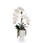 Real Touch White Orchid Flower Arrangement in White Pot