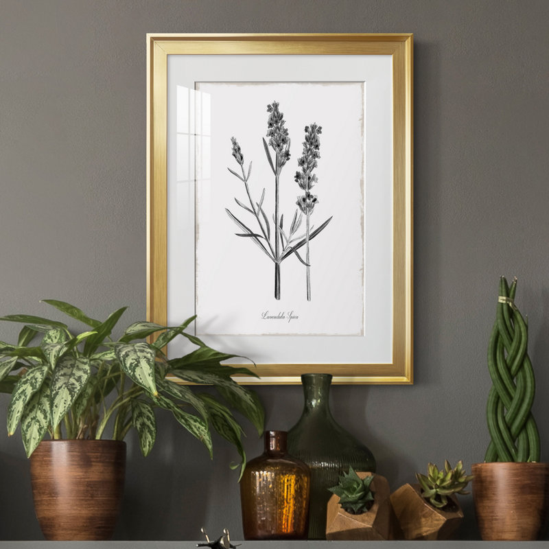 Simplement lavande - Cadre photo, reproduction d'art sur papier, Papier encadré doré, H 18,5 po x l 24,5 po x P 1,5 po