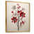 Gold Floater Framed