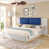 Blanc / Bleu marine