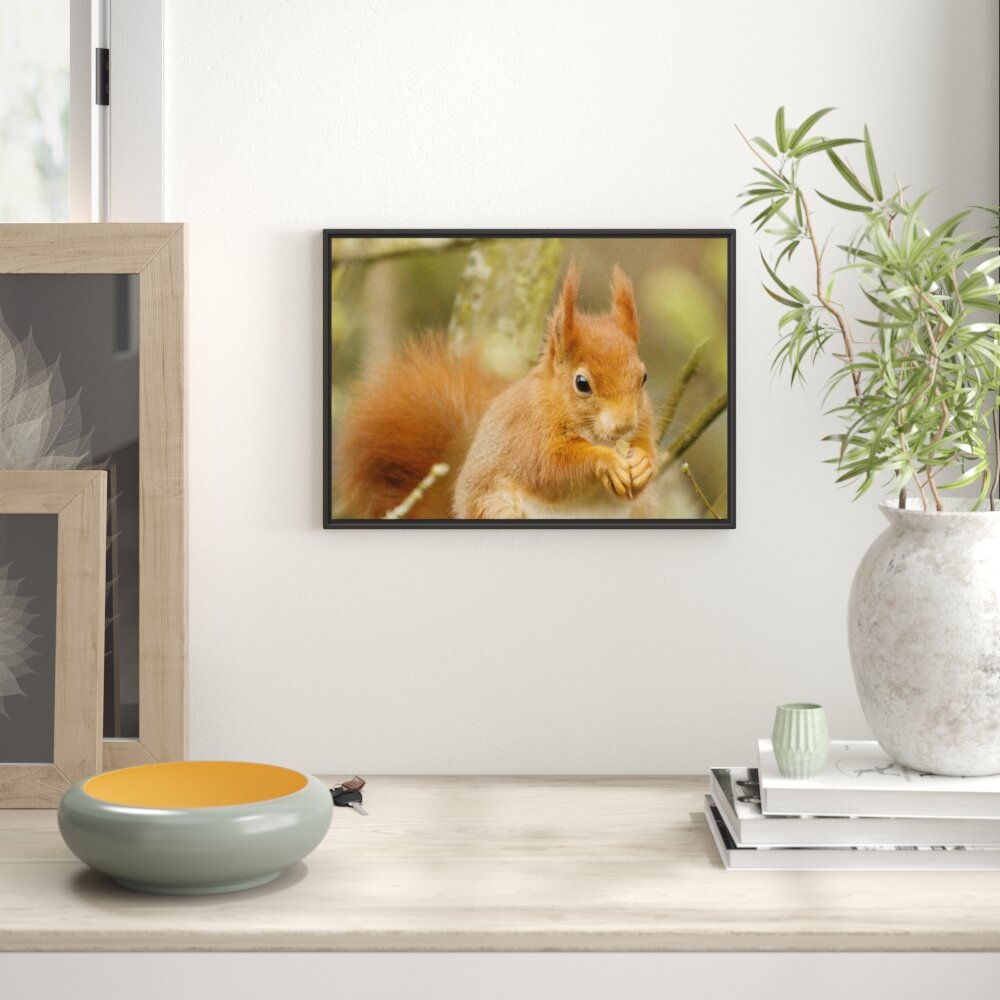 Gerahmtes Wandbild Kleines Eichhörnchen