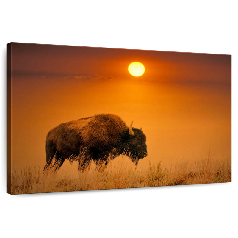 Lever de soleil bison Brampt, H 30 po x l 45 po