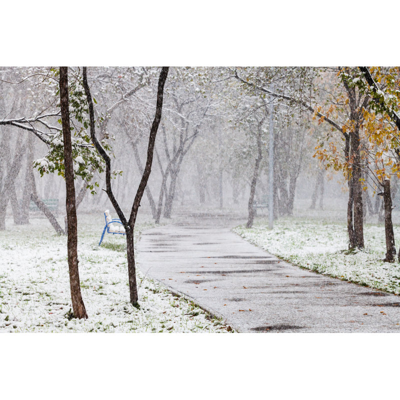 Snowfall In Park by VvoeVale - Wrapped Canvas Print, 30cm H x 46cm W