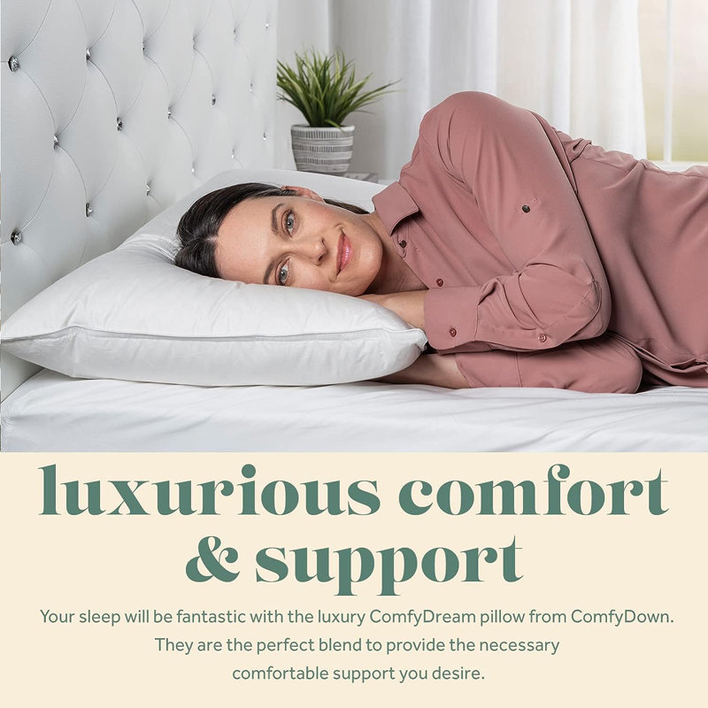 Coussin 100% coton de qualité égyptienne ComfyDown, Très grand