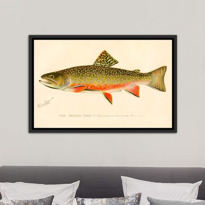 The Brook Trout - impression d'art graphique