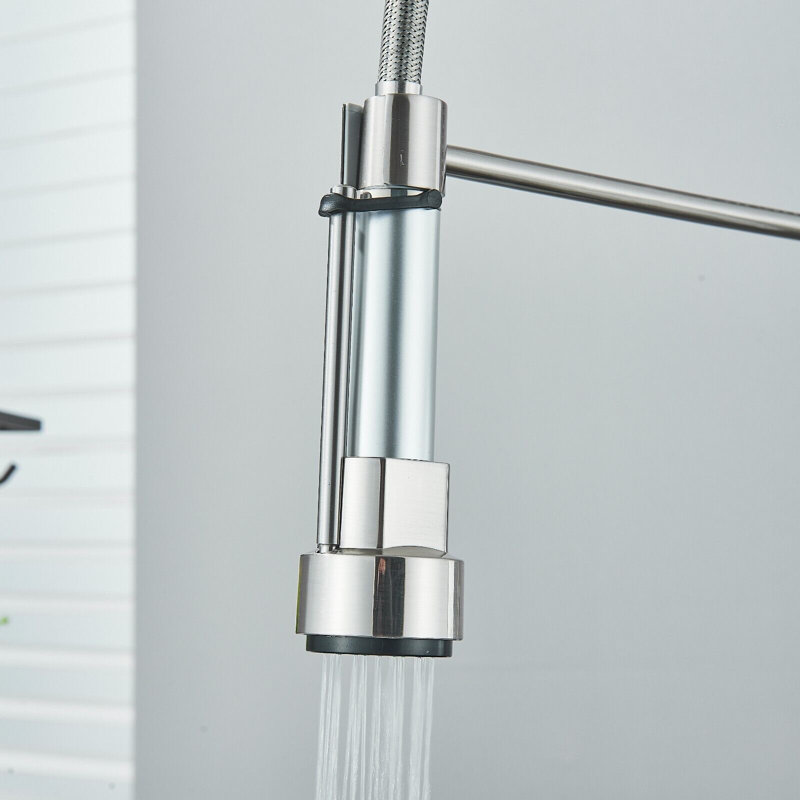 AlenArtWater Kitchen Faucet Side Spray, Brushed Nickel