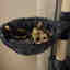 Customer photo 2 of 3