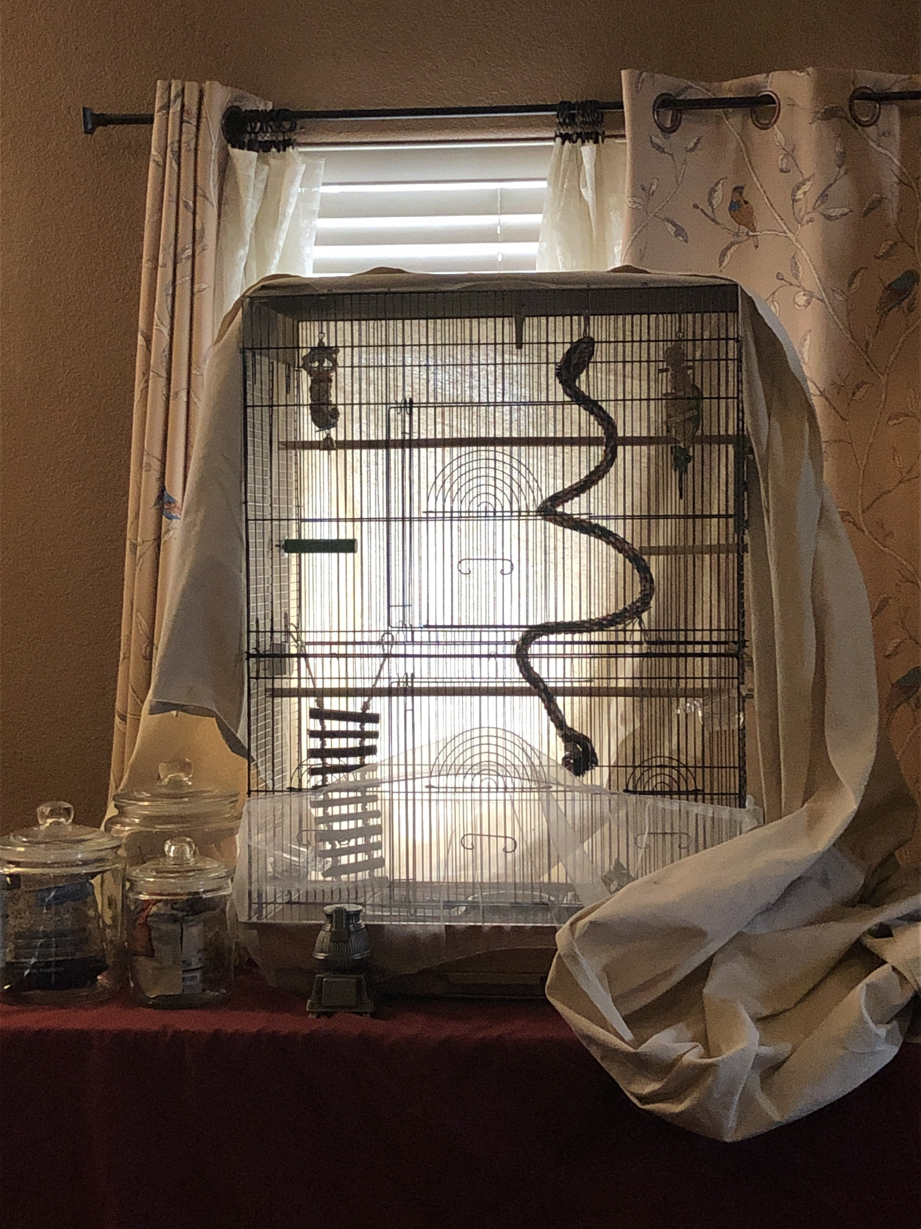 Tucker Murphy Pet™ Pet Products Flight Cage for Multiple Small Birds