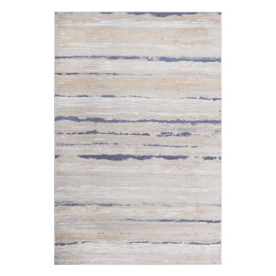 Living Room Bedroom Dining Home Office Stylish and Stain Resistant Area Rug