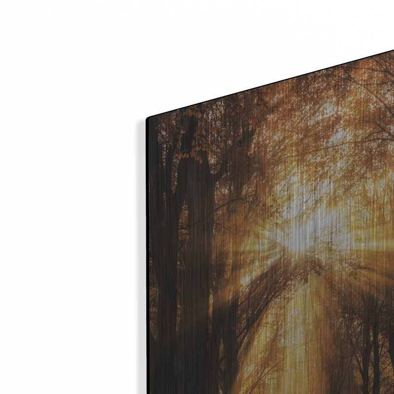«Sunburst» par Martin Podt, H 24 po x l 16 po