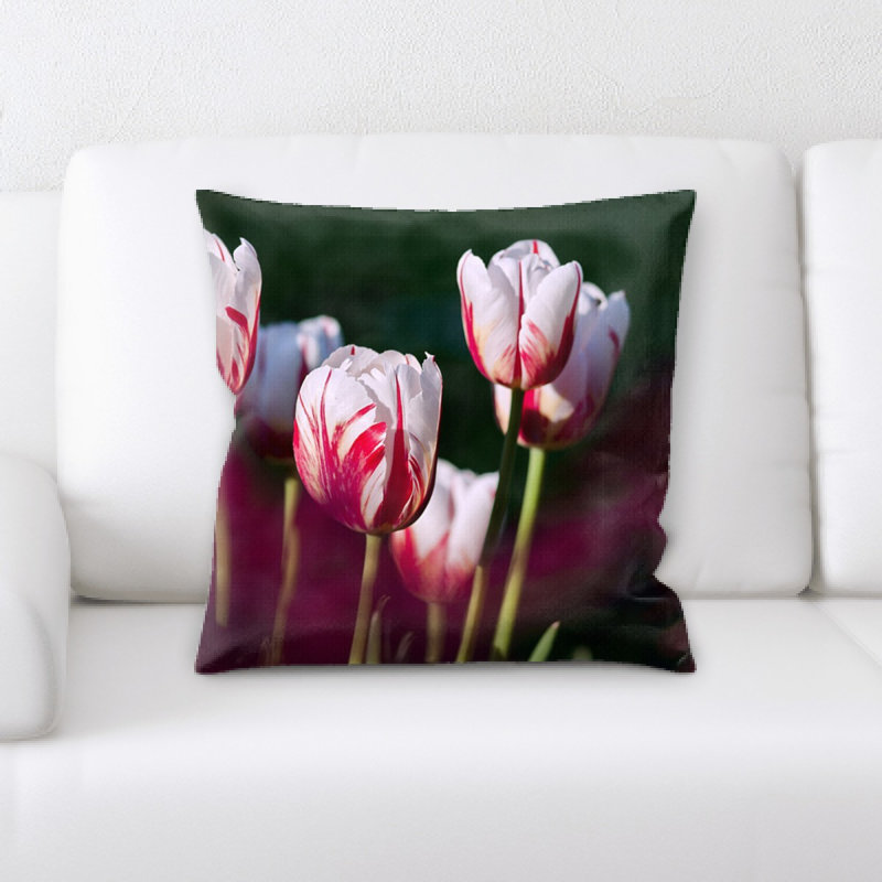 Coussin de tulipes