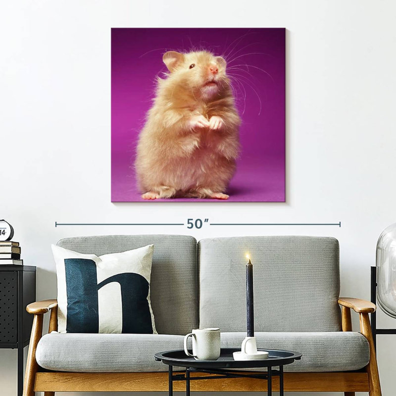 Ketti Fluffy Hamster, 30" H x 30" W