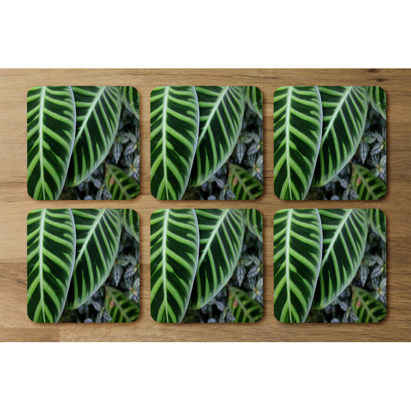Douville Square 6 Piece Coaster Set