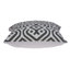 Coussin décoratif carré en coton gris et blanc 20 po Parkland Collection Vega-1761317103