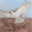 Peristera Painting by Paul Meyer-348915508