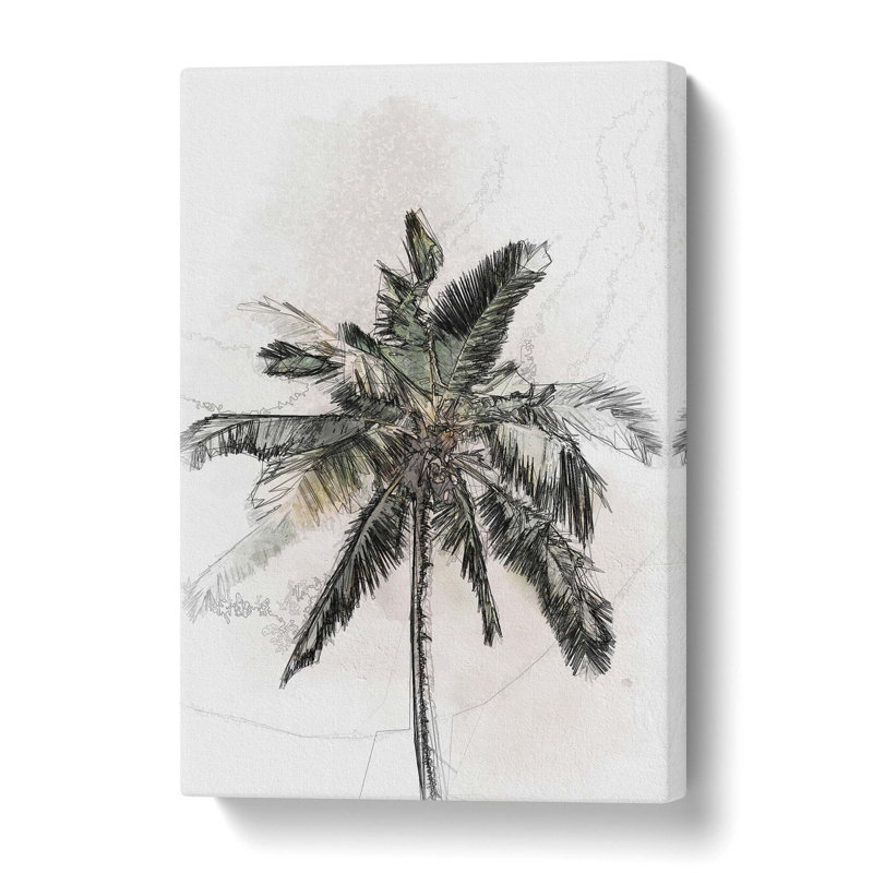 Cuban Palm Tree In Abstract - Wrapped Canvas Print, 91.4 cm H x 61 cm W