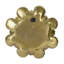 Plaque murale succulente D10x1,6 ", 2 pièces