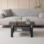 Table basse en verre trempé noir-134894440-134894442