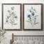 Linen Botanical III - ensemble de 2 reproductions d'art-11719740-121353645
