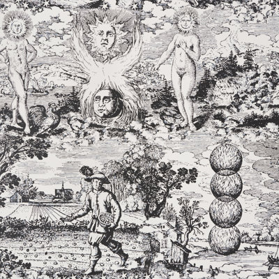 Schumacher x Johnson Hartig Modern Toile Wallpaper