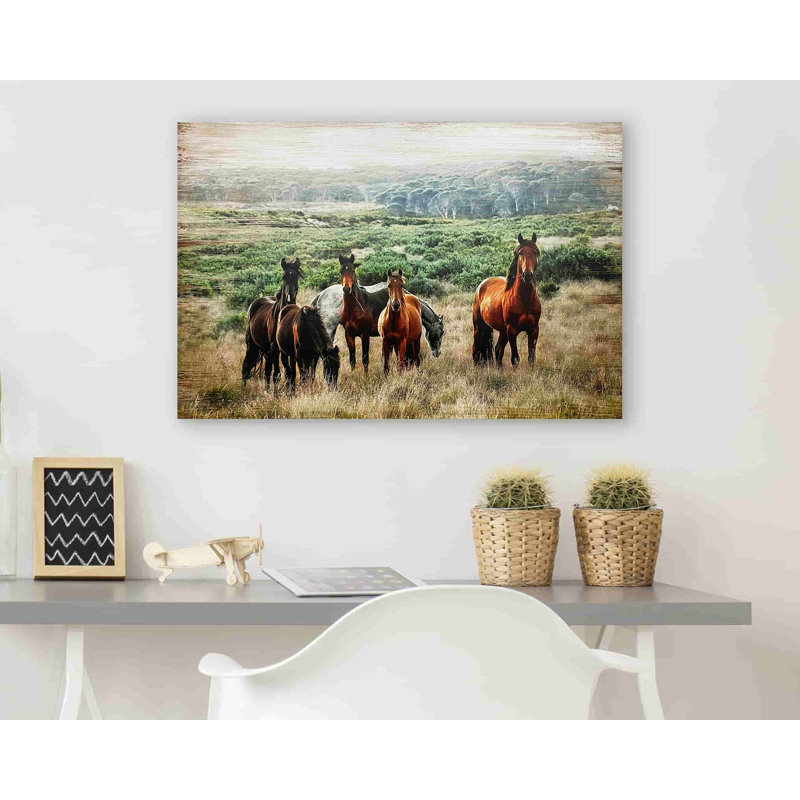" Horse In Wild ", 16" H x 24" W x 1.5" D