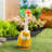 Porch Goose Outfit, Swimwear-988769380