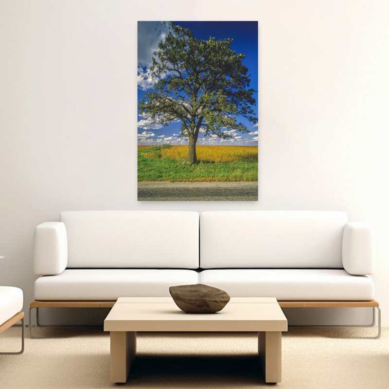Single Oak Tree On Country Road Farm Grass Field Blue Sky Clouds IL USA by Mark Segal - Wrapped Canvas Print